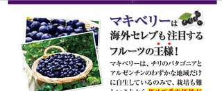 マキベリー 2.png